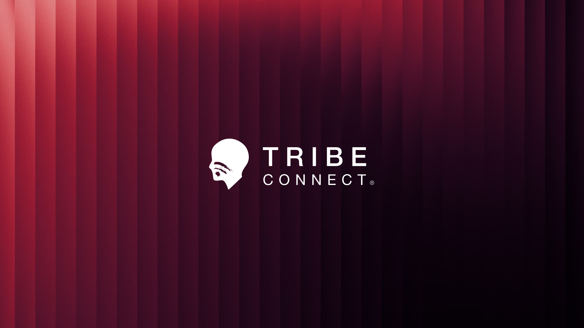 Tribe Connect transforms its analytics platform with Firemind: 5-phase AWS modernisation for secure customer insights